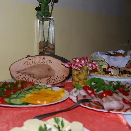 Willa Zolta Roza Krynica Zdroj
